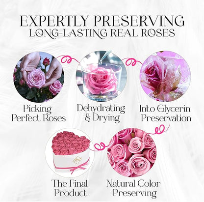 GLAMOUR BOUTIQUE Preserved Roses in a Box - Gifts for Her, Wife & Mom, Rose Flowers Forever Decor for Birthday Gift, Get Well Flower Bouquet Cased in White Box with Cover - Pink - 27-Piece