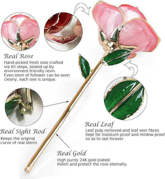 Sinvitron Gold Dipped Infinity Rose Forever Flower Decor, Resin Preserved Real Rose Birthday Gift for Women, Anniversary Present for Mom (Sweet Pink)