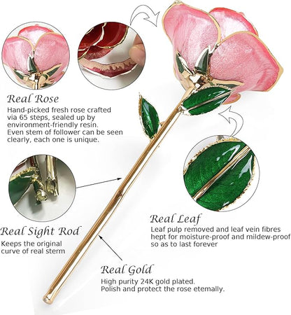 Sinvitron Gold Dipped Infinity Rose Forever Flower Decor, Resin Preserved Real Rose Birthday Gift for Women, Anniversary Present for Mom (Sweet Pink)