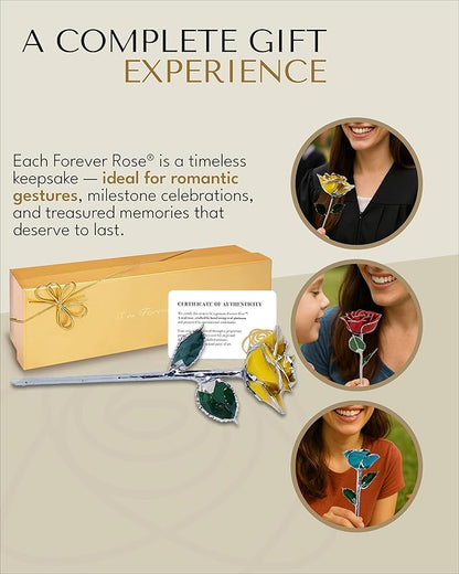 Forever Rose Real Yellow Rose with Platinum Trimmed Petals and Platinum Stem, Handcrafted Preserved Rose in Luxury Gold Gift Box, Romantic Gift for Her, Elegant Gift for Any Occasion