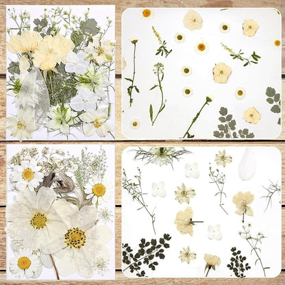 CONVELIFE Dried Flowers for Resin, Vacuum Packed DIY Pressed Flowers for Epoxy, Jewelry, Candles, Soap, Nail Production (80PCS White Dried Flowers)