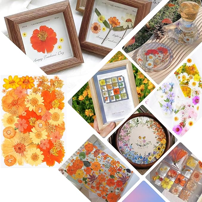 111Pcs Orange Dried Pressed Flowers for Crafts,Xinxinran Fall Dry Flowers Kit for Resin Molds,Epoxy Resin Accessories,Bookmark,Jewelry Molds,Candle Making Supplies,Soap,Frame
