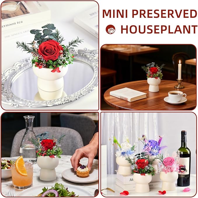 Preserved Floral Gift Set, Everlasting Rose in Small Ceramic Pot - Lasting Beauty for Home Table Decor, Mother's Day, Valentine's Day, Birthday, and Anniversary (Red)