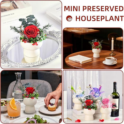 Preserved Floral Gift Set, Everlasting Rose in Small Ceramic Pot - Lasting Beauty for Home Table Decor, Mother's Day, Valentine's Day, Birthday, and Anniversary (Red)