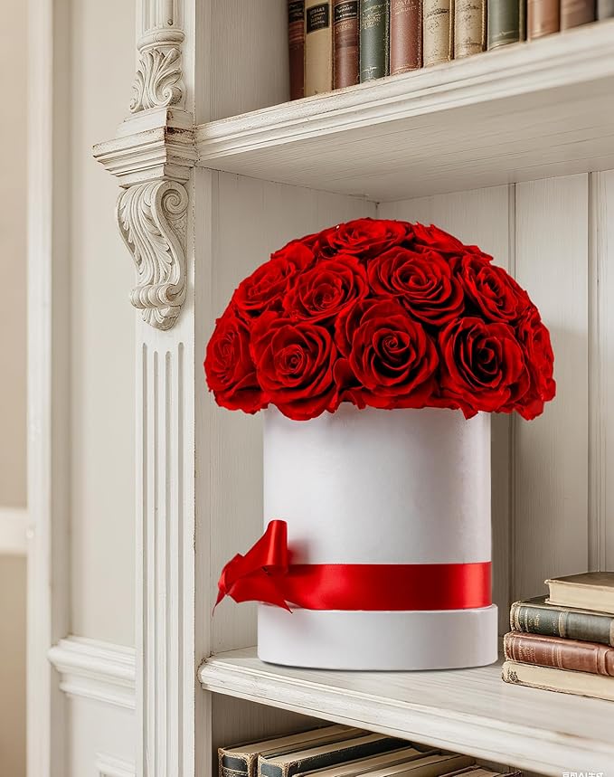 27 Forever Roses Dome in White Box, Eternal Real Roses Gifts for Women, Preserved Flowers for Delivery Prime, Anniversary, Valentine's Day, Christmas, Birthday for Her (Red)
