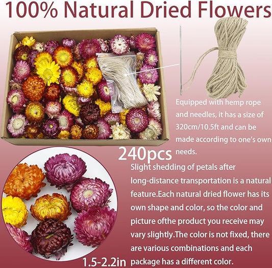 240 Pcs Natural Dried Daisy Flowers Heads Bulk Gerbera Daisies Multicolor Real Sunflowers Chrysanthemum with Jute Rope and Needle Dry Flower Arrangements for DIY Craft Wedding Decor Home Party