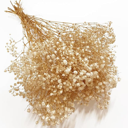 Preserved Baby's Breath, 100% Natrual Gypsophila Long Lasting Flowers for Vase Arrangements Home Decoration Photo Props Parties and Weddings, DIY Décor-White