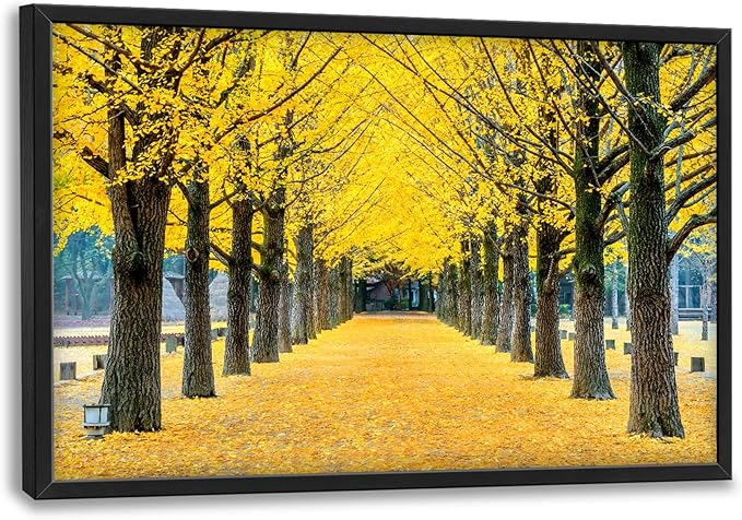 Framed Large Pictures Wall Art for Living Room, Yellow Ginkgo Trees Oversized Wall Decor Nature Scenery Landscape Canvas Painting Modern Extra Large Framed Artwork for Bedroom Office 36"x24"