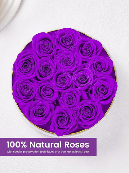 Preserved Roses Forever Flowers Real Roses in a Box Mother's Day Birthday Flowers for Her Mom Women Wife Valentine's Day, 16 Purple Roses