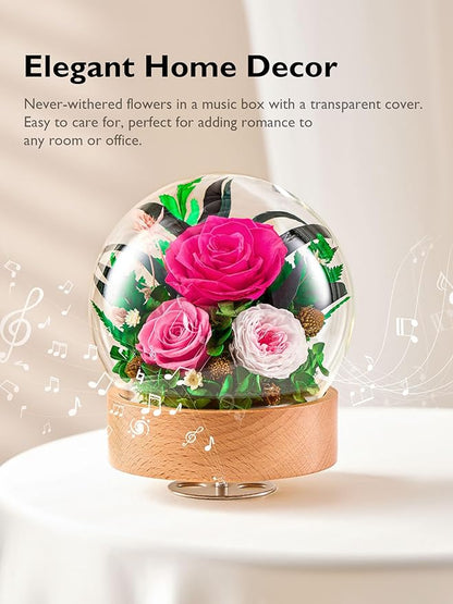 Eterfield Flowers for Delivery Prime, Christmas Preserved Roses Gifts for Women - Forever Flower in Glass Dome Birthday Gifts for Mom Wife Grandma Her Valentine’s Day (Hot Pink, Sphere)