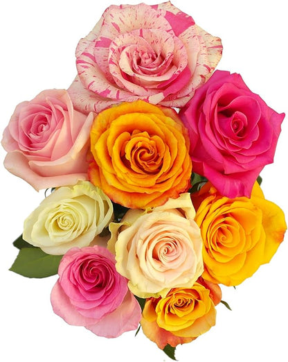 GlobalRose Fresh Cut Assorted Roses - 75 Roses (3 Bundles of 25) Fresh Bouquet for Birthday, Anniversary or Home Decor - Flowers Delivery Gift