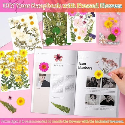 Dried Flowers for Resin, Real Nature Dried Pressed Flower Leaves Bulk with Tweezers for DIY Nail Art Cards Scrapbooking Crafts Jewelry Making Epoxy Resin Molds Candle Accessories Floral Decors