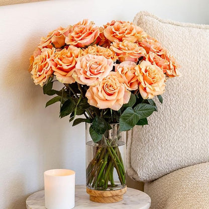 BloomsyBox- Peach Roses - 24 Long Stems, Long Lasting, Hand-Tied in Eco-friendly, Vase Not Included, Fresh Flowers for Delivery – Gift for Birthday, Anniversary, Get Well, Congratulations, Wedding