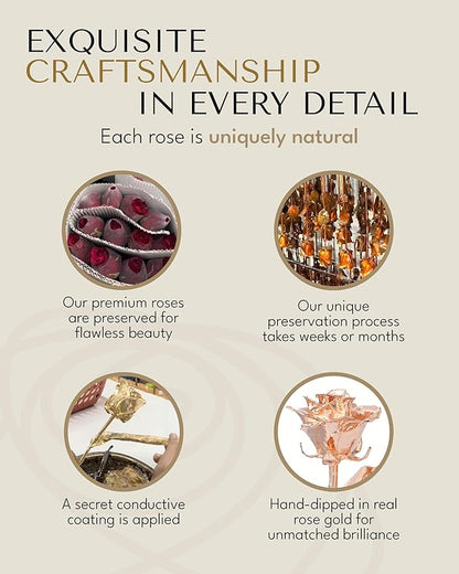 Forever Rose Two Real Roses Dipped in Rose Gold, Handcrafted Preserved Rose in Acrylic Heart Vase and Luxury Gold Gift Box, Romantic Gift for Her, Elegant Keepsake for Anniversary, Birthday