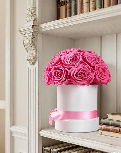 Preserved Roses Dome in a Box, Forever Real Roses Decor, Eternal Flowers for Delivery Prime, Best Gifts Birthday, Wedding, Anniversary, Mother's Day, Christmas for Her, 18-Pieces (Pink)