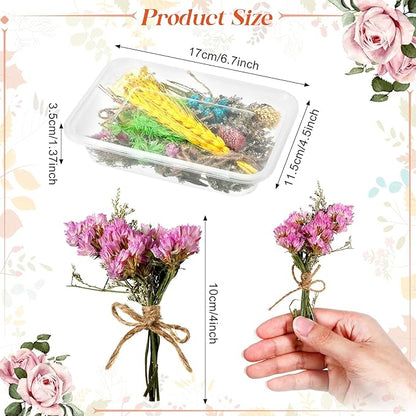 Chengu 20 Pcs Mini Dried Flowers Bouquets Natural Gypsophila Don't Forget Me Bouquets Dry Flower Leaves Dried Embossing Flower Plant Stem Bunch for Vase DIY Wedding Decoration Crafts Photo Props