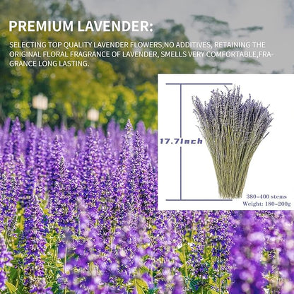 Dried Lavender Flowers Bundles 100% Natural Real Dry Flower for Home Decorations,Home Fragrance 350+ Stems