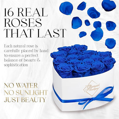 GLAMOUR BOUTIQUE Preserved Roses in a Box - Gifts for Her, Wife & Mom, Rose Flowers Forever Decor for Birthday Gift, Get Well Flower Bouquet Cased in White Box with Cover - Blue - 16-Piece