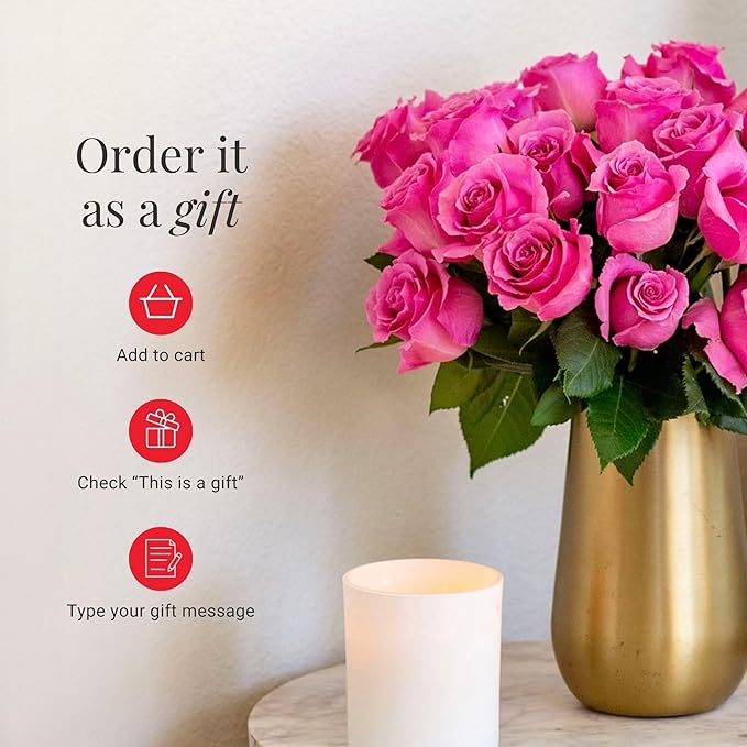 BloomsyBox- Light Pink Roses -24 Long Stems, Long Lasting, Hand-Tied in Eco-friendly, Vase Not Included, Fresh Flowers for Delivery – Gift for Birthday, Anniversary,Congratulations, Wedding