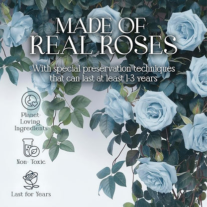 GLAMOUR BOUTIQUE 16 Flower Forever Heart Shape Box - Preserved Roses Gift for Her, Preserved Flowers, Teal