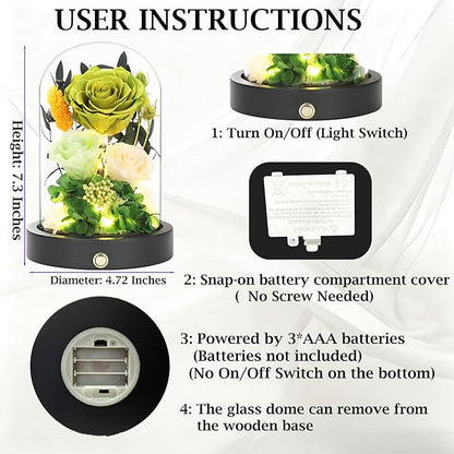 Preserved Flowers in Glass Dome with LED Light, Forever Flowers for Delivery, Eternal Roses Gifts for Women Mom Girlfriend Wife . Valentines Day Mothers Day Anniversary Birthday Gifts For Her(Green)
