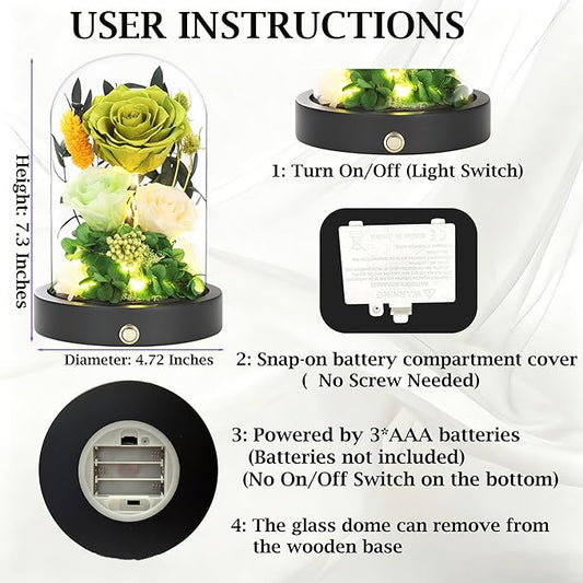 Preserved Flowers in Glass Dome with LED Light, Forever Flowers for Delivery, Eternal Roses Gifts for Women Mom Girlfriend Wife . Valentines Day Mothers Day Anniversary Birthday Gifts For Her(Green)