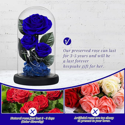 3 Preserved Flowers Roses in Glass Dome with Light for Beauty and The Beast Decor Real Rosas Eternas for Women Mom Birthday,Forever Blue Roses for Delivery,Christmas for Wife Girlfriend Her