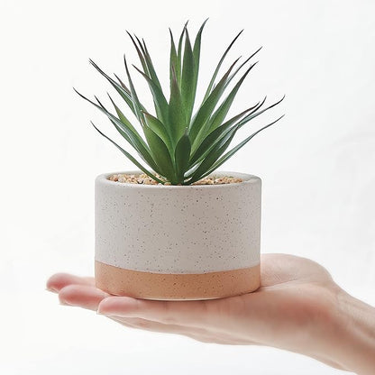 Artificial Succulent Plants in Ceramic Pots, Faux Assorted Succulents Fake Cactus Plants for Home Decor, Bedroom, Office, Desk, Living Room, Set of 3…