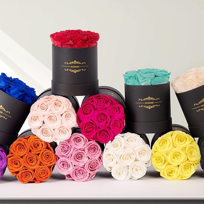 NATROSES 7 Piece Preserved Roses in a Box, Preserved Flowers for Birthday, Flower Gifts for Mothers Day (Buttermilk)