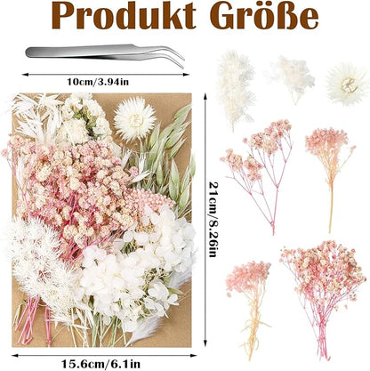 Real Dried Flowers, Natural Dry Flowers Mixed Natural Pressed Flowers Flores Secas Dried Florals for Crafts,Resin,Candle Making,Natural Flowers, Colors Vary Slightly(Pink and White)