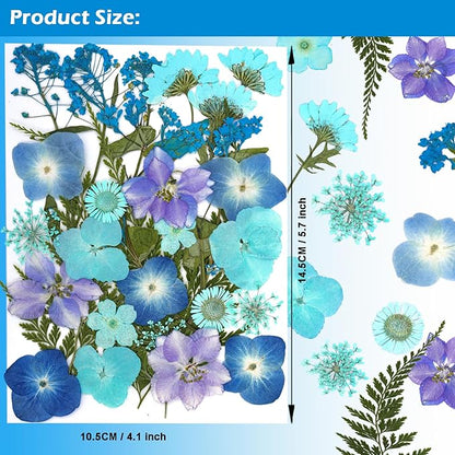 30Pcs Dried Pressed Natural Flowers for Resin Molds Real Pressed Flowers Dry Leaves Bulk Natural Herbs Kit for DIY Scrapbooking Art Crafts Jewelry Molds Candle Soap Making Nails Decor (Blue)