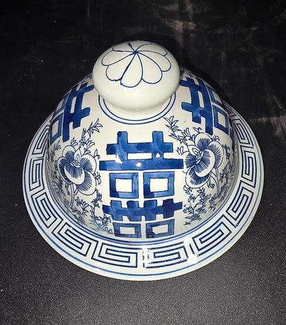 Festcool 19 inch Antique Like Blue and White Porcelain Temple Vase Jar Double Happiness Jingdezhen China (J8) Blue White 19*11*11 inches