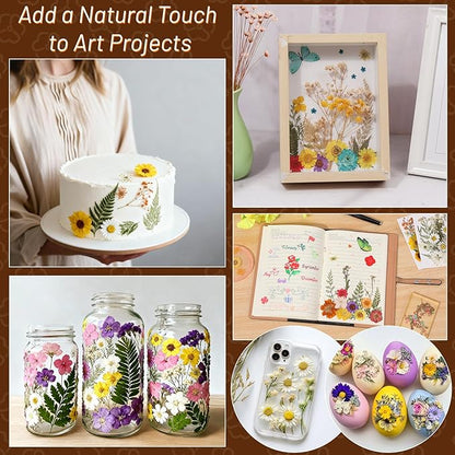 Dried Pressed Flowers for Resin, Real Pressed Flowers Dry Leaves Bulk Natural Herbs Kit for Scrapbooking DIY Art Crafts Epoxy Resin Jewelry Mold Candle Soap Making Nails Décor (Natrual Floral Leaves)