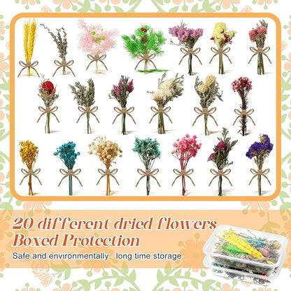 Chengu 20 Pcs Mini Dried Flowers Bouquets Natural Gypsophila Don't Forget Me Bouquets Dry Flower Leaves Dried Embossing Flower Plant Stem Bunch for Vase DIY Wedding Decoration Crafts Photo Props