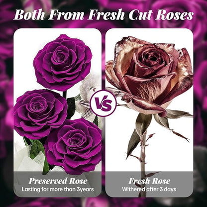 Flowers Forever Roses in A Box, 3 Real Roses with Stems and Bear, Eternal Rose Gifts for Her,Birthday Gifts for Women, Mom,Girlfriend,Grandma,Daughter,Purple