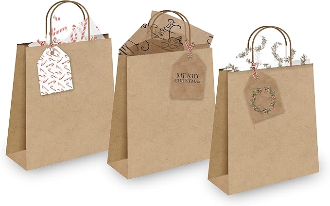 Pro Supply Global 24 Count of 2.5 Inch x 3 Inch Pre Strung Christmas Candy Canes Gift Tag Assorted Printed Designs on Large Cardstock Gift Hang Tags - Ideal to Use on Bags