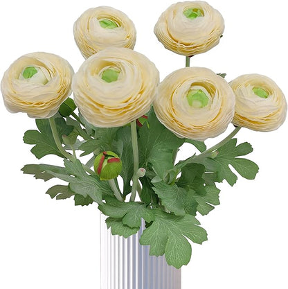 ATFL Ivory Ranunculus Artificial Flowers,6 Pcs Artificial Faux Silk Ranunculus Flowers with Real Touch Stems,Fake Peony Flowers for Floral Arrangements DIY Wedding Bouquet Party Table Home Decor