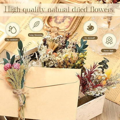 Layhit 12 Pack Boho Dried Flower Bouquet Mini Wedding Handmade Dry Flowers Decor for Vase Crafts DIY Photo Boutonniere for Men Floral Plant for Bridesmaid Gift Birthday Decor(Bright)
