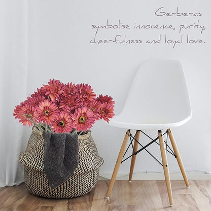 12pcs Artificial Gerbera Daisies,22 Inch Long Stem Silk Daisy Flowers,Realistic Artificial Flower Mums for Home Décor Centerpiece Wreath Supplies Wedding Bouquet,Wine