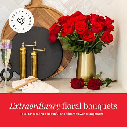 BloomsyBox - Red Roses - 24 Long Stems, Long Lasting, Hand-Tied in Eco-friendly, Vase Not Included, Fresh Flowers for Delivery – Gift for Birthday, Anniversary, Get Well, Congratulations, Wedding