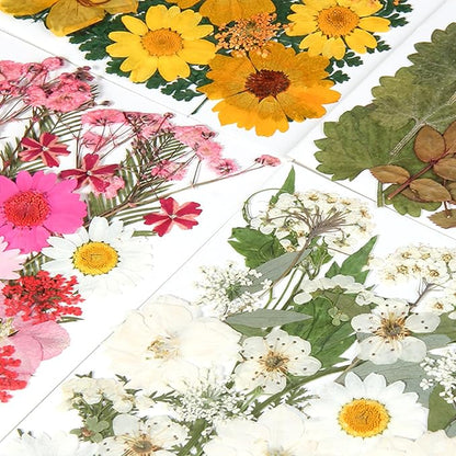 110+PCS Pressed Flowers for Resin molds Real Dried Flower Leaves for Resin Jewelry Making Dry Flowers for Scrapbooking Crafts DIY Soap Candles Making Nails Décor (Colorful-A)