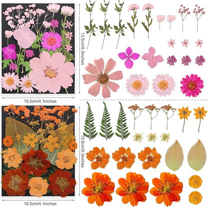 285Pcs 9 Packs Mixed Types Real Natural Dried Pressed Flowers & Leaves for Resin Molds, DIY Crafts, Jewelry Making + 100Pcs Butterfly Stickers + Tweezers