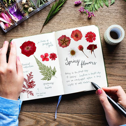 Nuanchu 167 Pcs Real Dried Pressed Flowers Natural Dried Flowers Colorful Daisy Mixed Wildflowers Leave for DIY Candle Resin Nails Jewelry Pendant Crafts Floral Art(Red,Vivid Style)