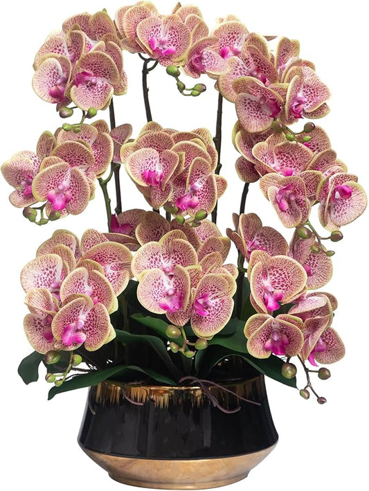 CXGS Orchids Artificial Flower Real Touch Faux Orchid in Large Ceramic Vase 23.6'' Realistic PurpleSpots Fake Phalaenopsis Floral Arrangements Centerpiece Table Home Indoor Decor