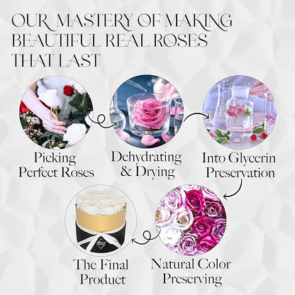 GLAMOUR BOUTIQUE Eternal Preserved Roses in a Box - Flowers Forever, Rose Forever in a Box for Wife, Birthday Gifts for Her, 7 Roses, White