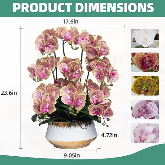 CXGS Orchids Artificial Flower Real Touch Faux Orchid in Large Ceramic Vase 23.6'' Realistic PurpleSpots Fake Phalaenopsis Floral Arrangements Centerpiece Table Home Indoor Decor