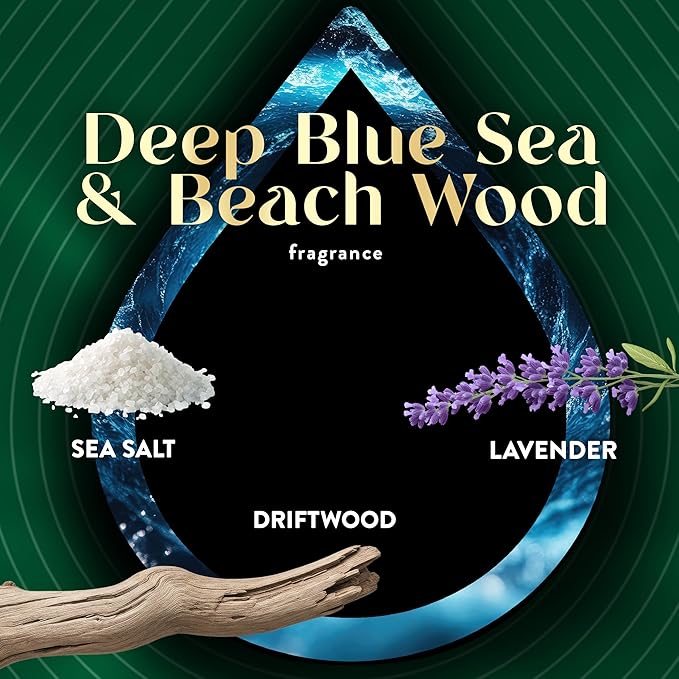Air Wick Vibrant Plug In Scented Oil Refill,Deep Blue Sea & Beach Wood, 5 ct