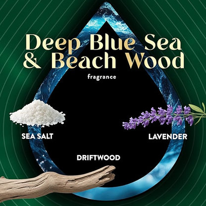 Air Wick Vibrant Plug In Scented Oil Refill,Deep Blue Sea & Beach Wood, 5 ct
