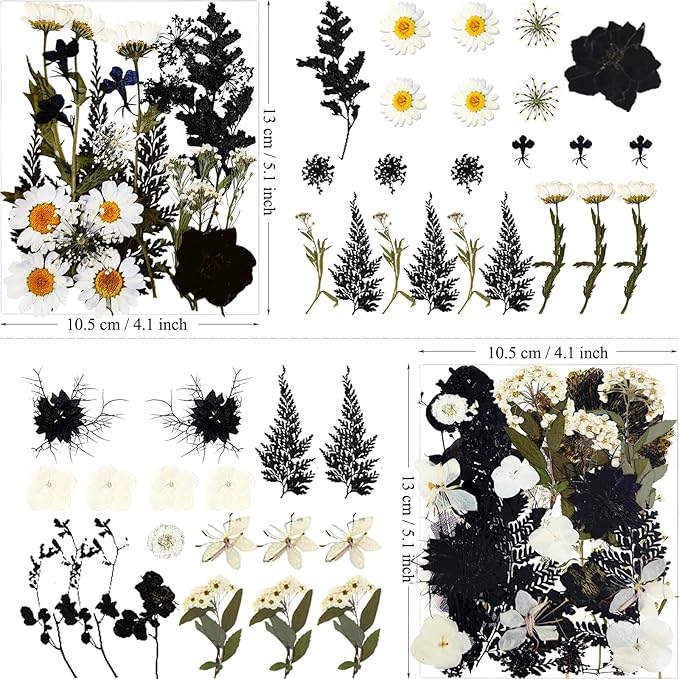 84Pcs Black Dried Pressed Flowers for Resin Molds, Bulk Real Natural Dry Floral for DIY Art Crafts, Epoxy Jewelry, Candle, Soap Making, Nails Decor, Phone Case