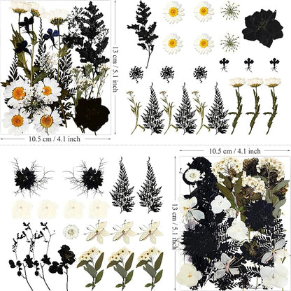84Pcs Black Dried Pressed Flowers for Resin Molds, Bulk Real Natural Dry Floral for DIY Art Crafts, Epoxy Jewelry, Candle, Soap Making, Nails Decor, Phone Case